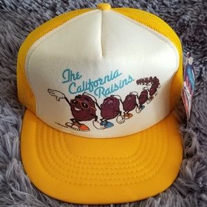 A vintage  California raisins hat
